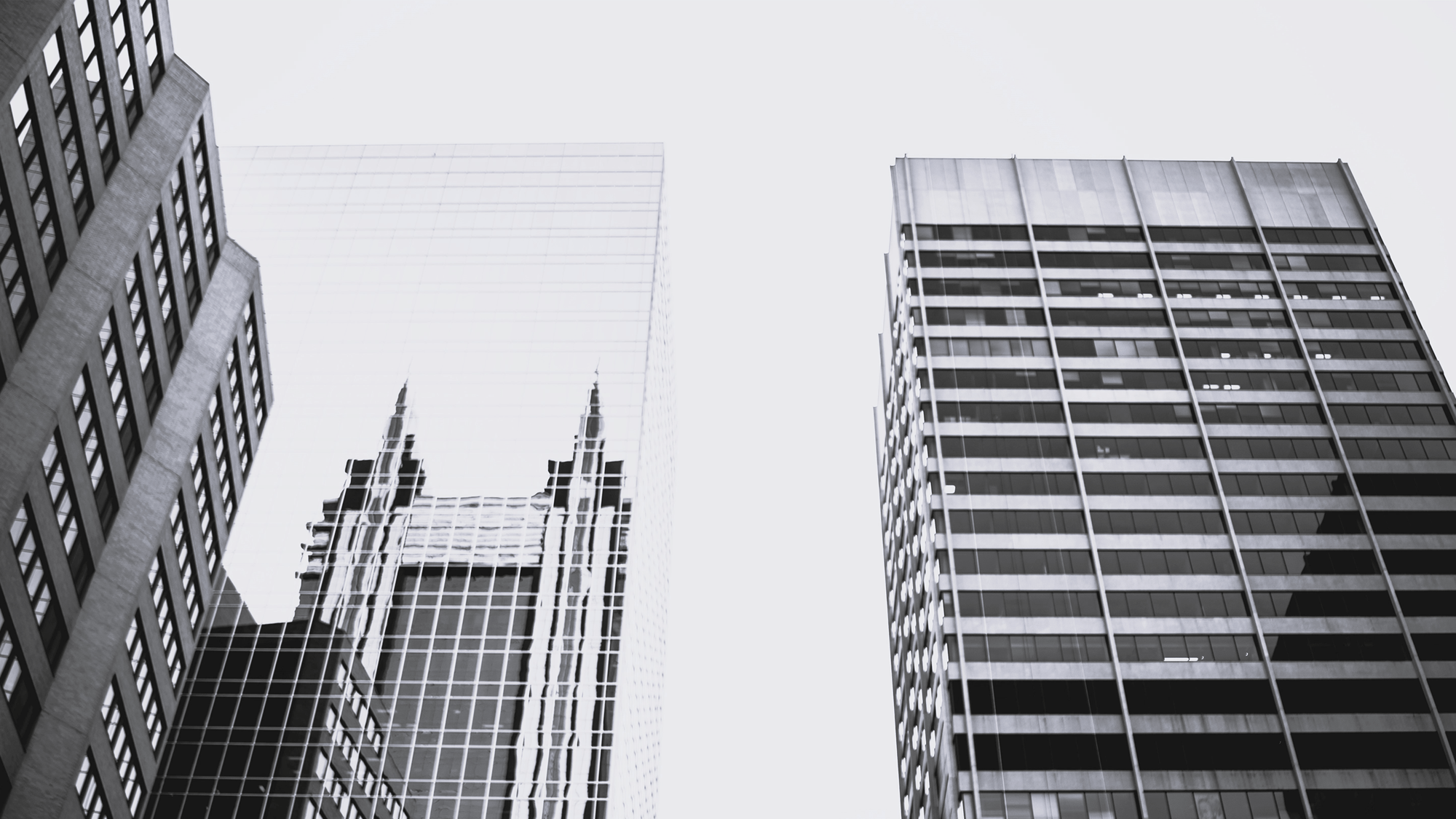 Corporate Information