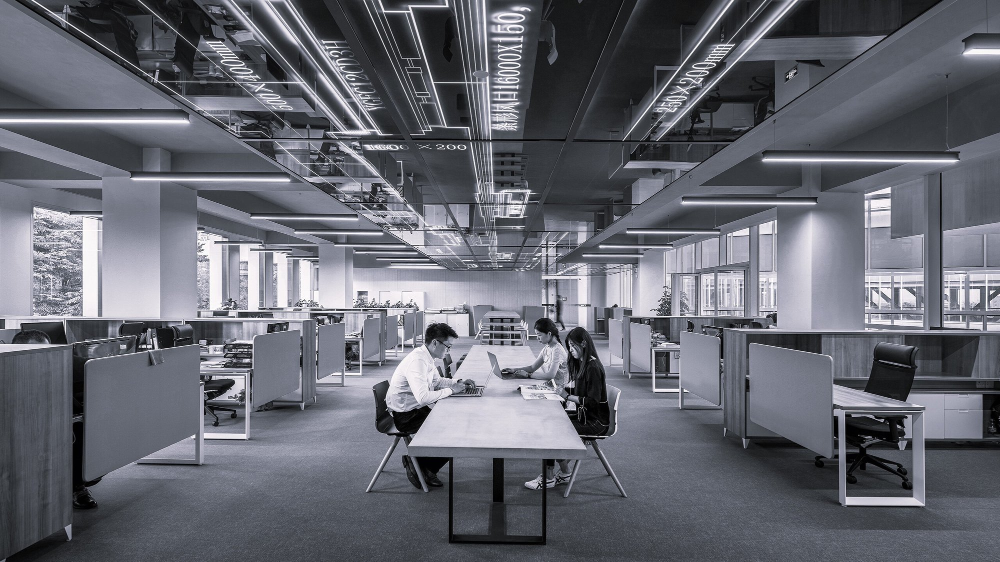 Fintechs_Web