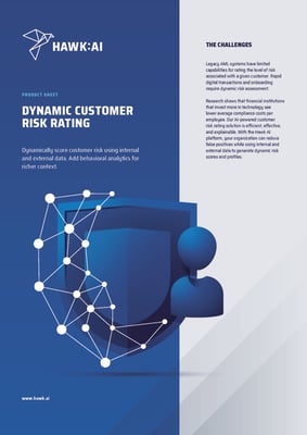 Hawk AI - Product Brochure - Customer Risk Rating_Page_1