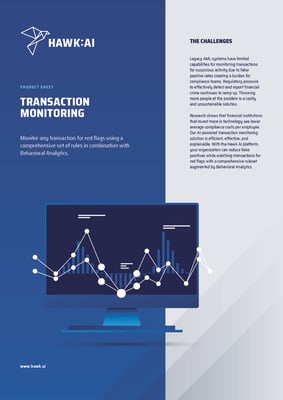 Hawk AI - Product Brochure - Transaction Monitoring_Page_1
